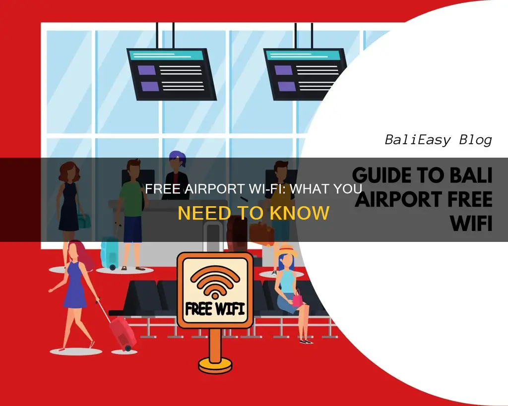 can you get internet access at airports