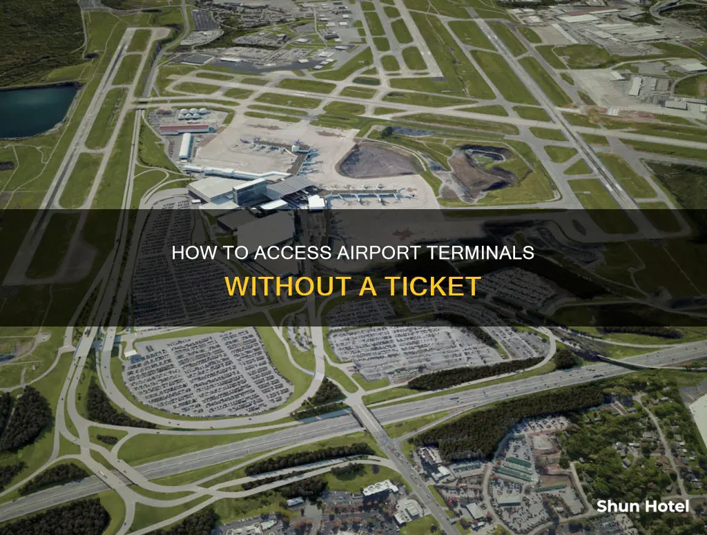 can you get into airport terminal without ticket