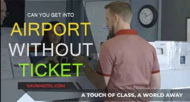 How to Gain Access to Airports Without a Ticket