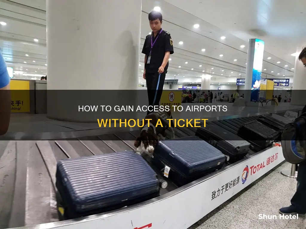 can you get into airport without ticket