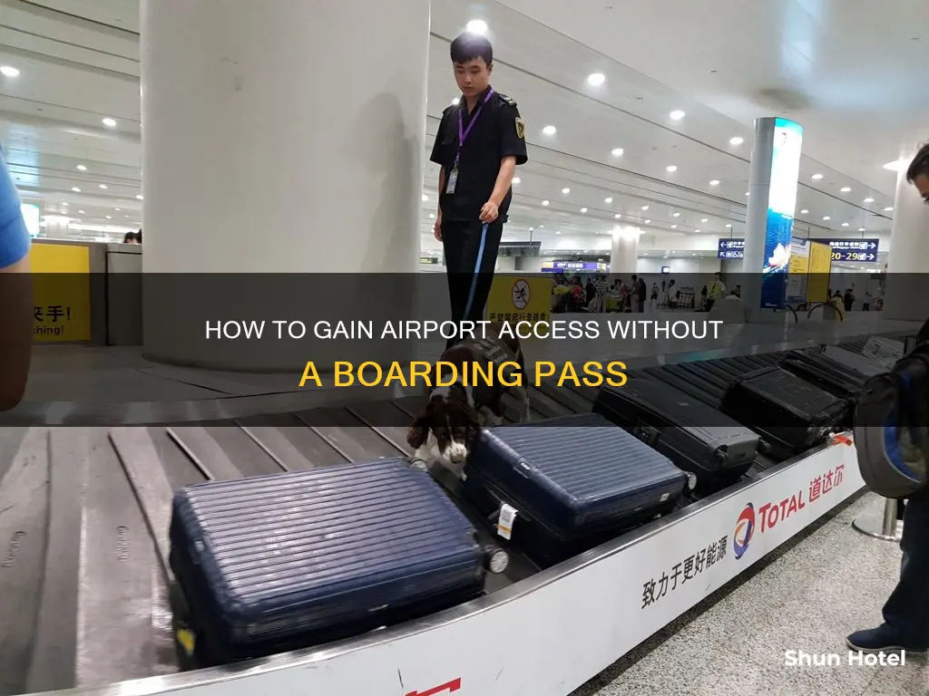 can you get into an airport without a boarding pass