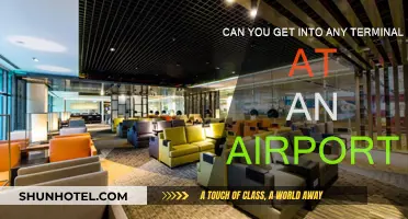 Accessing Airport Terminals: Who Can Enter?