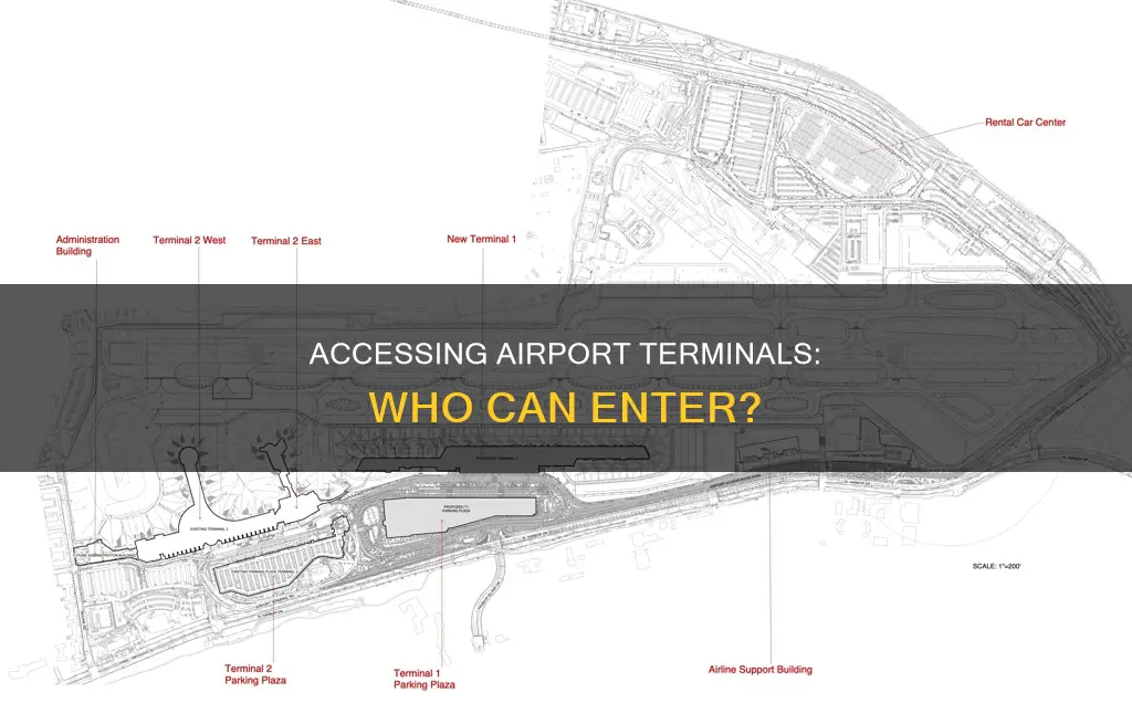 can you get into any terminal at an airport