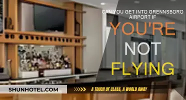 Explore Greensboro Airport Without Flying: A Guide