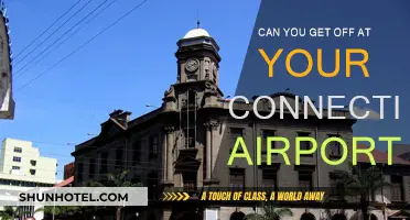 How to Make the Most of a Long Layover