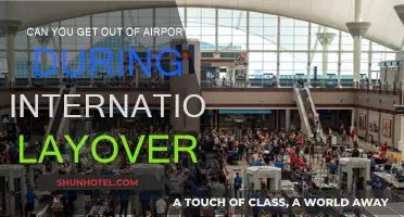 Exploring Cities During International Layovers: Is It Possible?