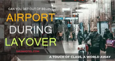 Exploring Beijing During a Layover: Is It Possible?