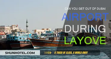 Exploring Dubai During a Layover: What Are Your Options?