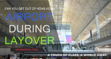 Exploring Hong Kong During a Layover: What You Need to Know
