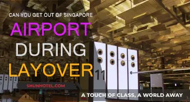 Exploring Singapore: Making the Most of Your Layover