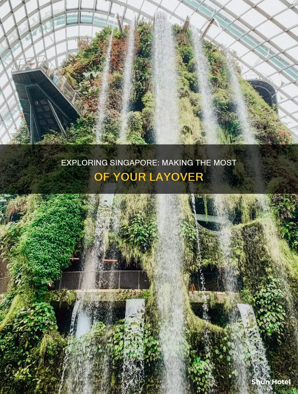can you get out of singapore airport during layover