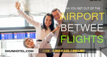 Exploring Cities During Long Layovers: Is It Possible?