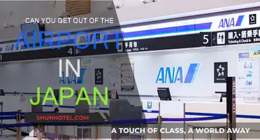 Exploring Japan: Can You Leave the Airport?