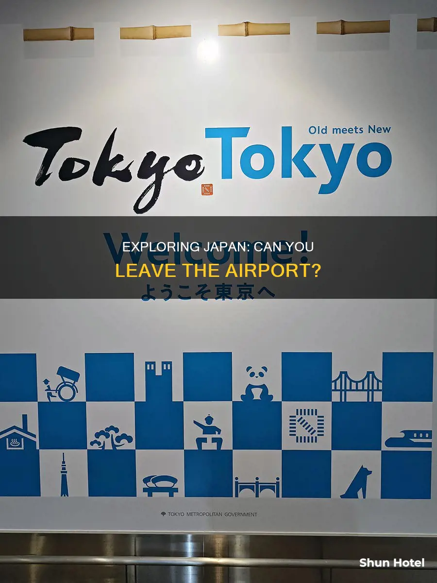 can you get out of the airport in japan