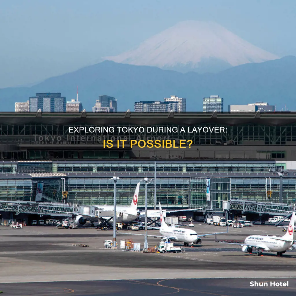 can you get out of tokyo airport during layover