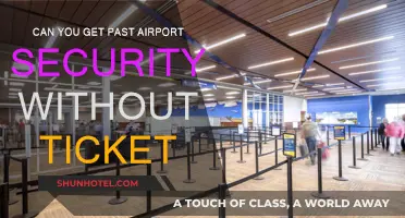 How to Navigate Airport Security Without a Ticket