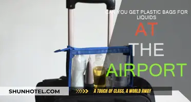 Airport Security: Plastic Bags for Liquids