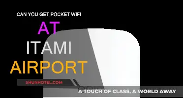 Pocket Wifi at Itami Airport: Where to Get One?