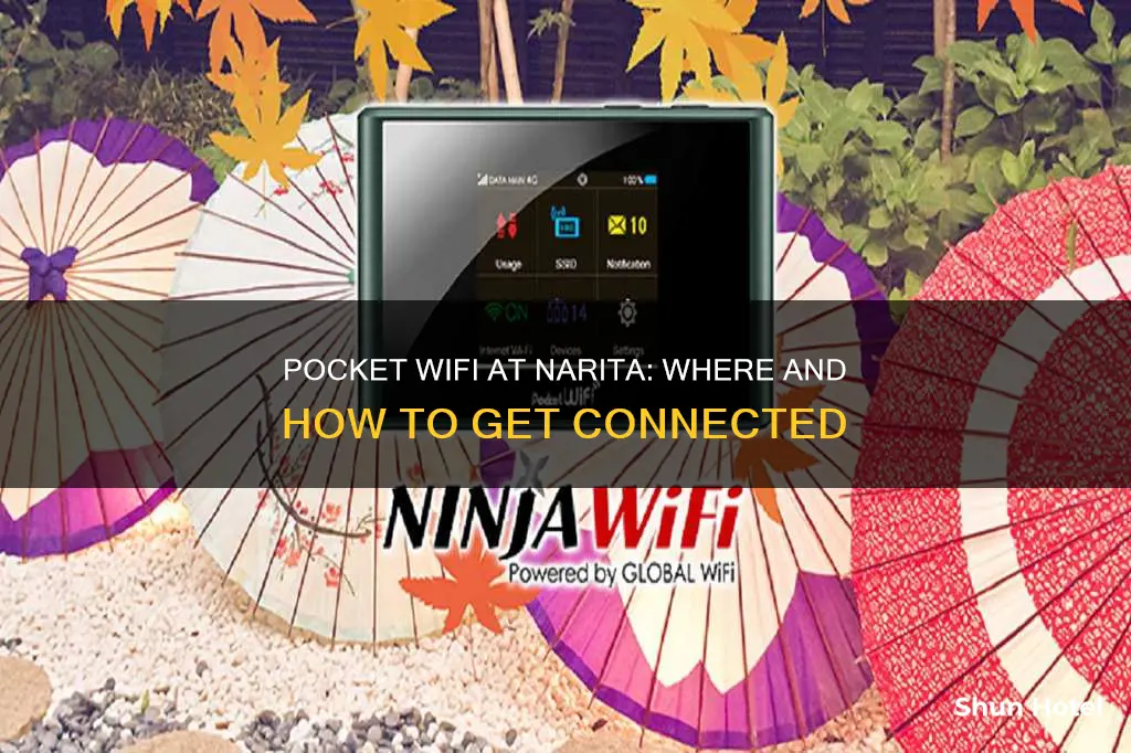 can you get pocket wifi at narita airport