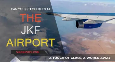 Get Shekels at JFK Airport?