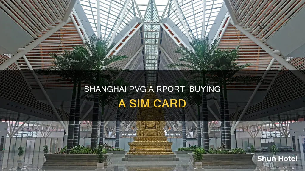 can you get sim cards at pvg airport