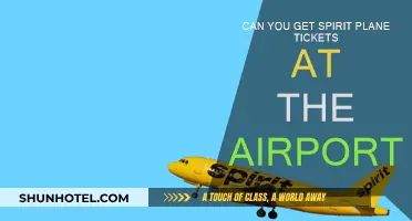 Spirit Airlines: Airport Ticket Options