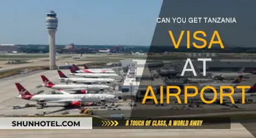 Tanzania Visa: Get It at the Airport?