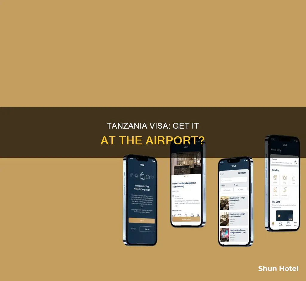 can you get tanzania visa at airport