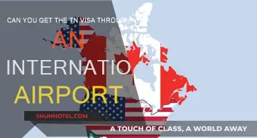 How to Get a TN Visa at an International Airport