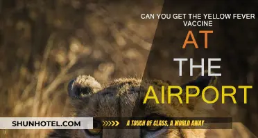 Yellow Fever Vaccine: Airport Availability?