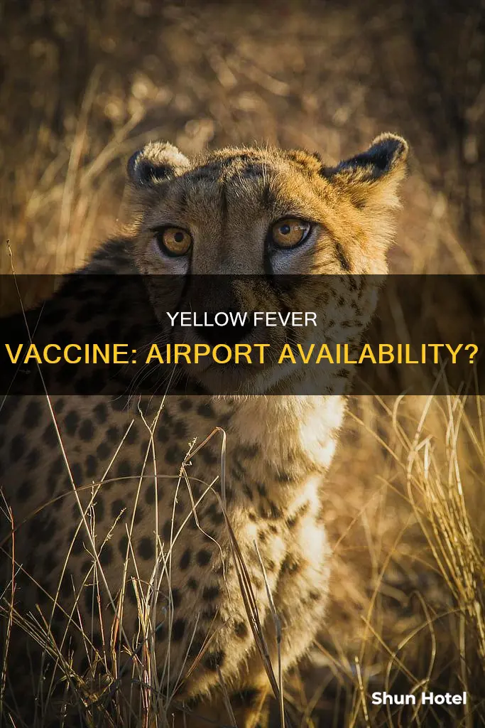can you get the yellow fever vaccine at the airport