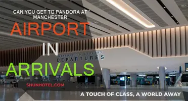 Exploring Pandora: Manchester Airport Arrivals