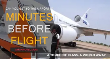 Last-Minute Rush: Airport Check-In Time Crunch
