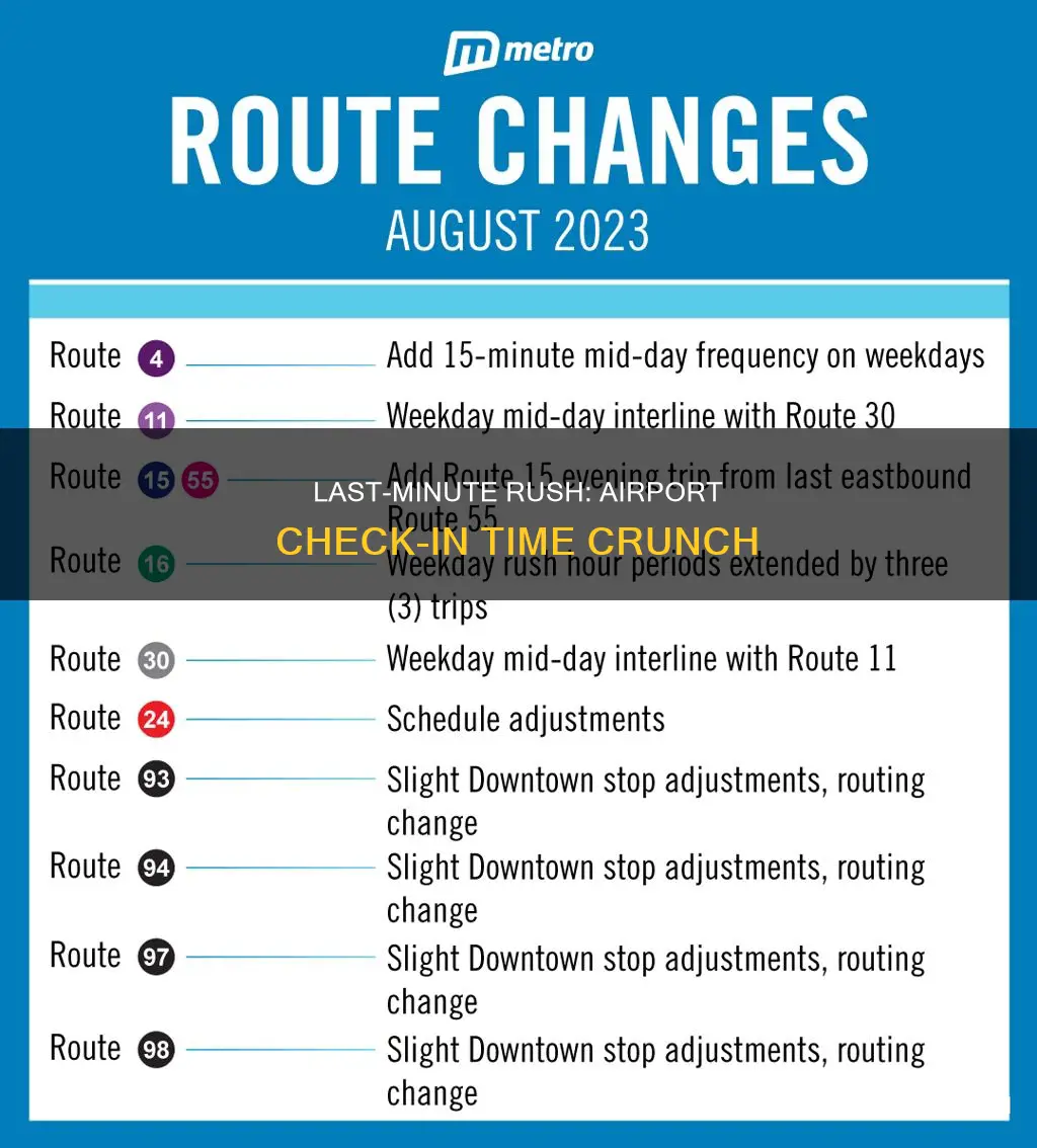 can you get to the airport 30 minutes before flight