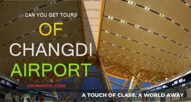 Explore Changdi Airport with a Guided Tour