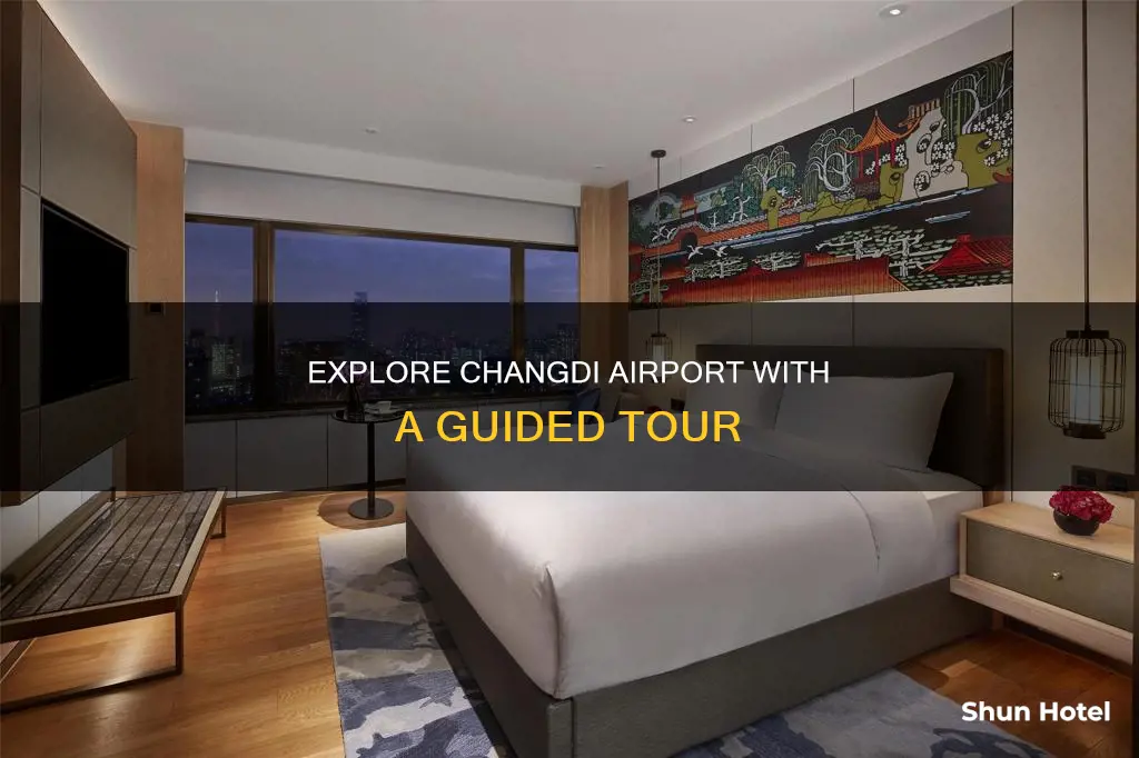 can you get tours of changdi airport