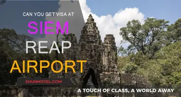 Siem Reap Airport Visa Options: What You Need to Know