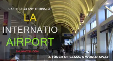 LAX Terminals: Can You Go to Any?