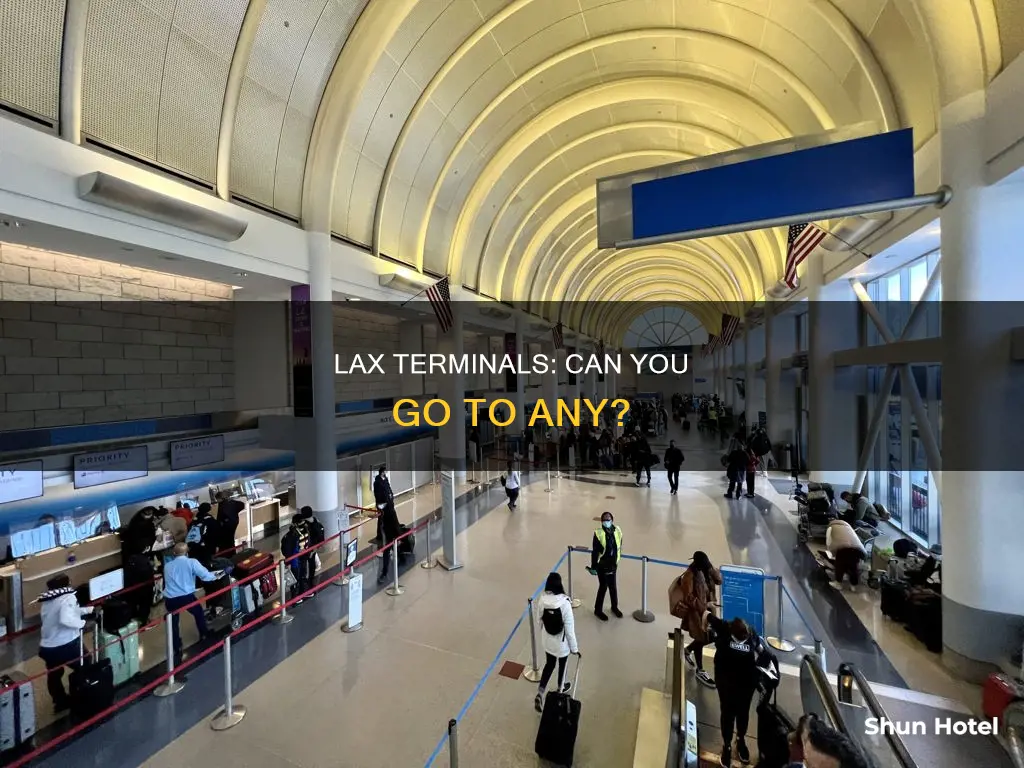 can you go any trminal at la international airport