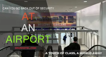 Exploring Airport Security: Can You Go Back Out?