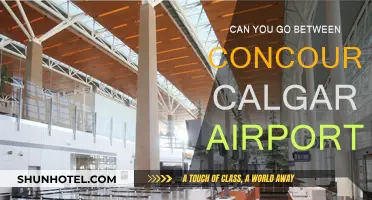 Navigating Calgary Airport: Moving Between Concourses