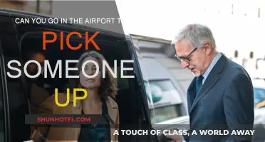 Picking a Loved One at the Airport: Can You Go In?