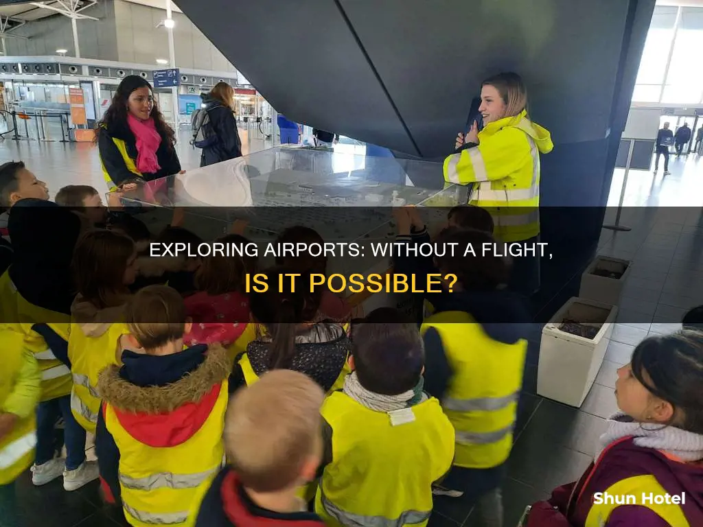 can you go into an airport without a flight
