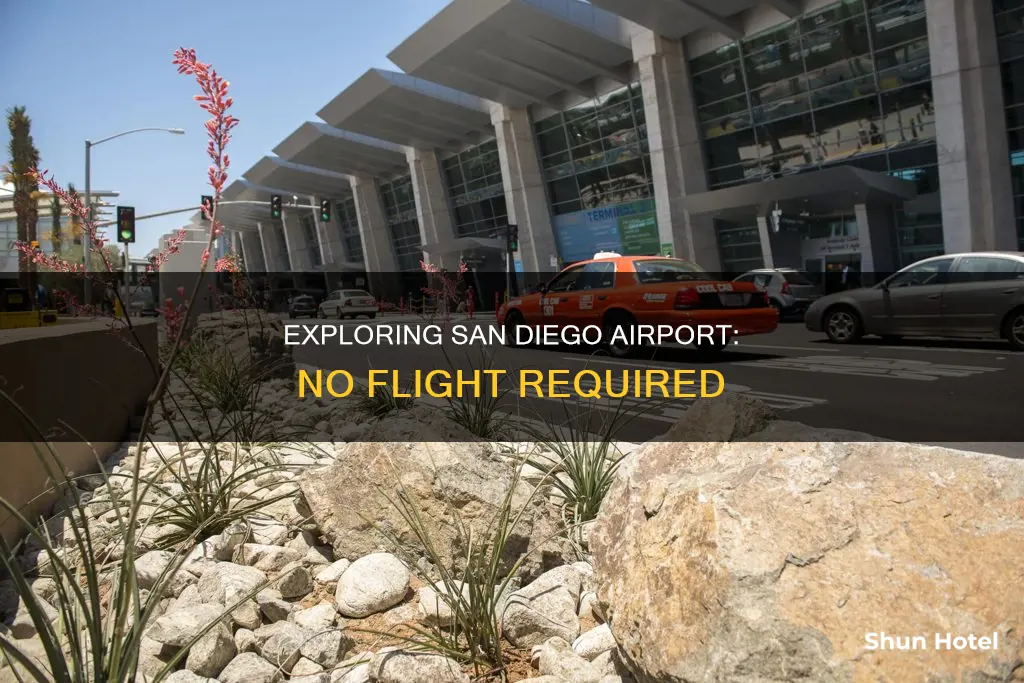can you go into san diego airport without a flight