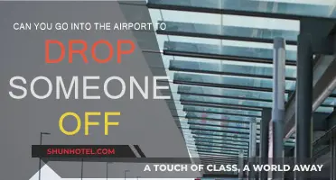 Exploring Airport Drop-Offs: Who Can Enter?