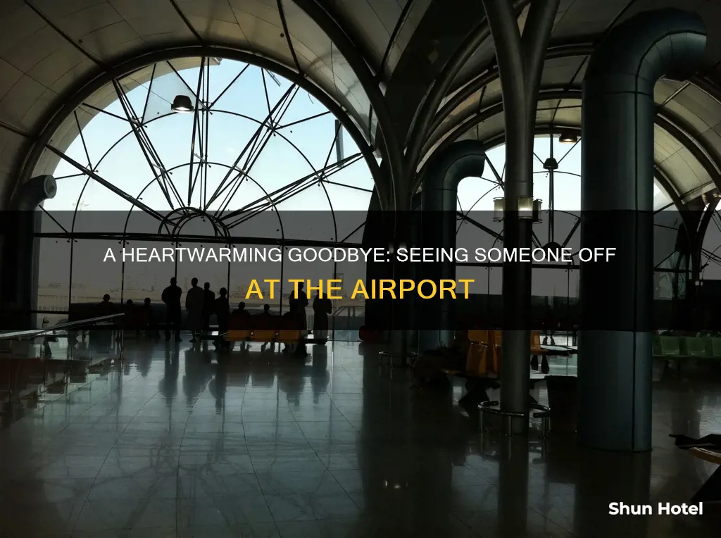 can you go into the airport to see someone off