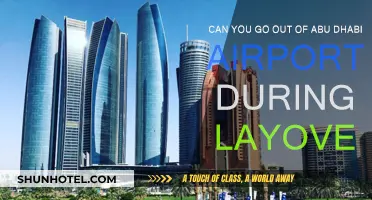 Exploring Abu Dhabi During a Layover