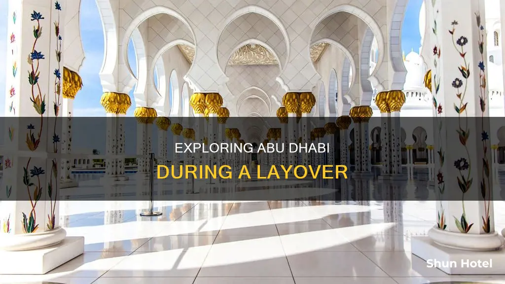 can you go out of abu dhabi airport during layover