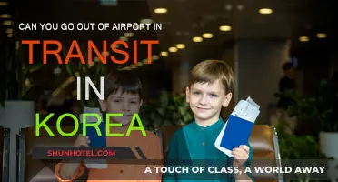 Exploring Korea During Transit: Is It Possible?