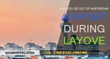 Amsterdam Layover: Can You Leave the Airport?
